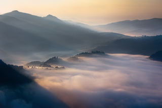 Illustration for article titled Forests, fog and light make these long-exposure photographs look like paintings
